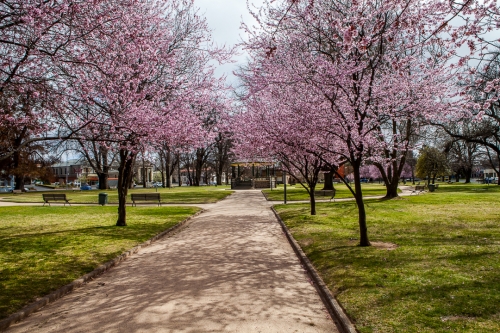 Robertson Park